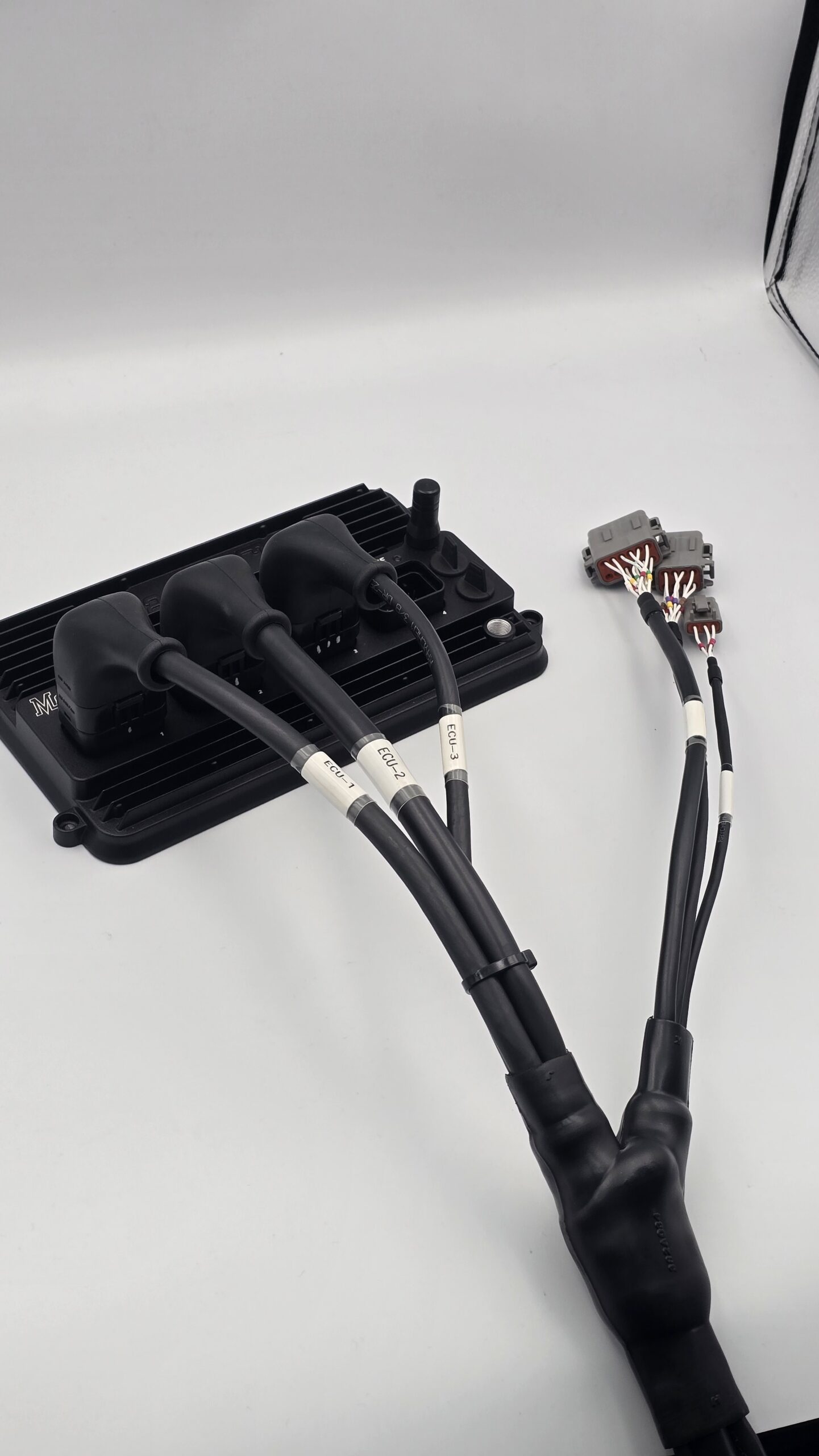 Custom wiring harness work for standalone ECU installation