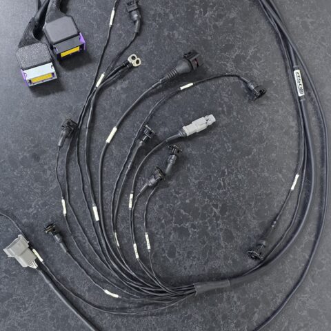 Bespoke MaxxECU Engine Harness (4Cyl)